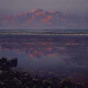 Alaska Art Painting by David Rosenthal Mount Tom White at Sunset